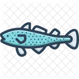 Cod Fish  Icon