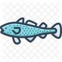 Cod Fish Icon