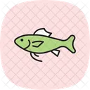 Cod Ocean Marine Icon