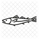 Cod  Icon