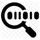 Data Search Code Icon