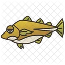 Codfish Sea Culture Fish Icon