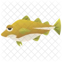 Codfish  Icon