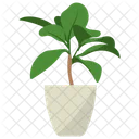 Codiaeum Potted Plant  Icon