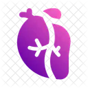 Coeur Organe Transplantation Icon