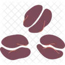 Coffee Bean  Icon
