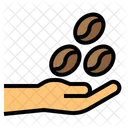 Coffee Beans Coffee Hand Icon