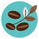 Bean Coffee Leaf Icon