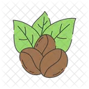 Coffee Beans  Icon