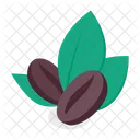Coffee Beans  Icon