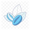 Coffee Beans  Icon