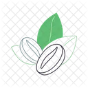Coffee Beans Coffee Seed Caffeine Icon