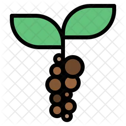 Coffee beans plant  Icon