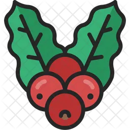 Coffee berry  Icon