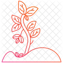 Coffee Plant Plant Coffee Icon
