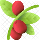 Coffee Plant Plant Coffee Icon