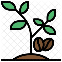 Coffee Plant  Icon