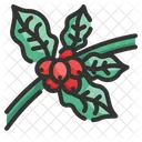 Coffee Plant  Icon