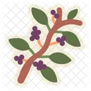 Coffee Plant  Icon