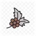 Coffee Seed Tree Icon