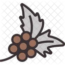 Coffee Tree Coffee Seeds Icon