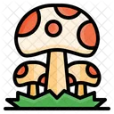 Cogumelo  Icon