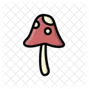 Cogumelo Cogumelo Venenoso Cogumelos Icon