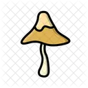 Cogumelo Cogumelo Venenoso Cogumelos Icon