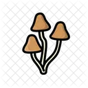 Cogumelo Cogumelo Venenoso Cogumelos Icon