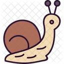 Coiled Shell  Icon