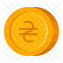 Coin hryvenia  Icon