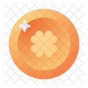 Coin Irish Money Icon