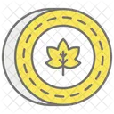 Coin  Icon