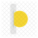 Coin  Icon
