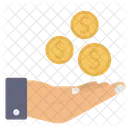 Coin Pay  Icon