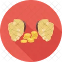 Coins Money Stack Icon