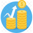 Coin Money Finance Icon