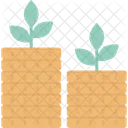 Coins with money plant  Icon