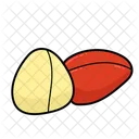 Cola Nut  Icon
