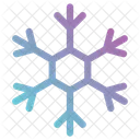 Cold Winter Snowflake Icon