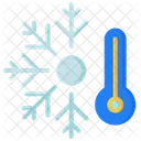 Winter Snow Ice Icon