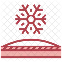 Cold Resistance  Icon