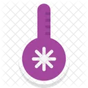 Cold Christmas Thermometer Snowflake Icon