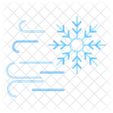 Cold Wave Snowflake Windy Symbol
