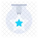 Colgante de estrella  Icono