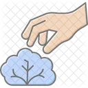 Colhendo Alface A Mao Colheita Manual Icon