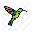 Colibri Bird Animal Icon