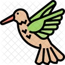 Colibri Fauna Animal Icon