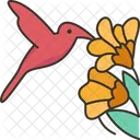 Colibrí  Icono