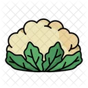 Coliflor  Icono